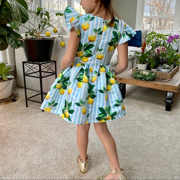 Halabaloo Girls Formal Lemon Dress with Blue Stripes - Size 4 - Picture 3 of 10